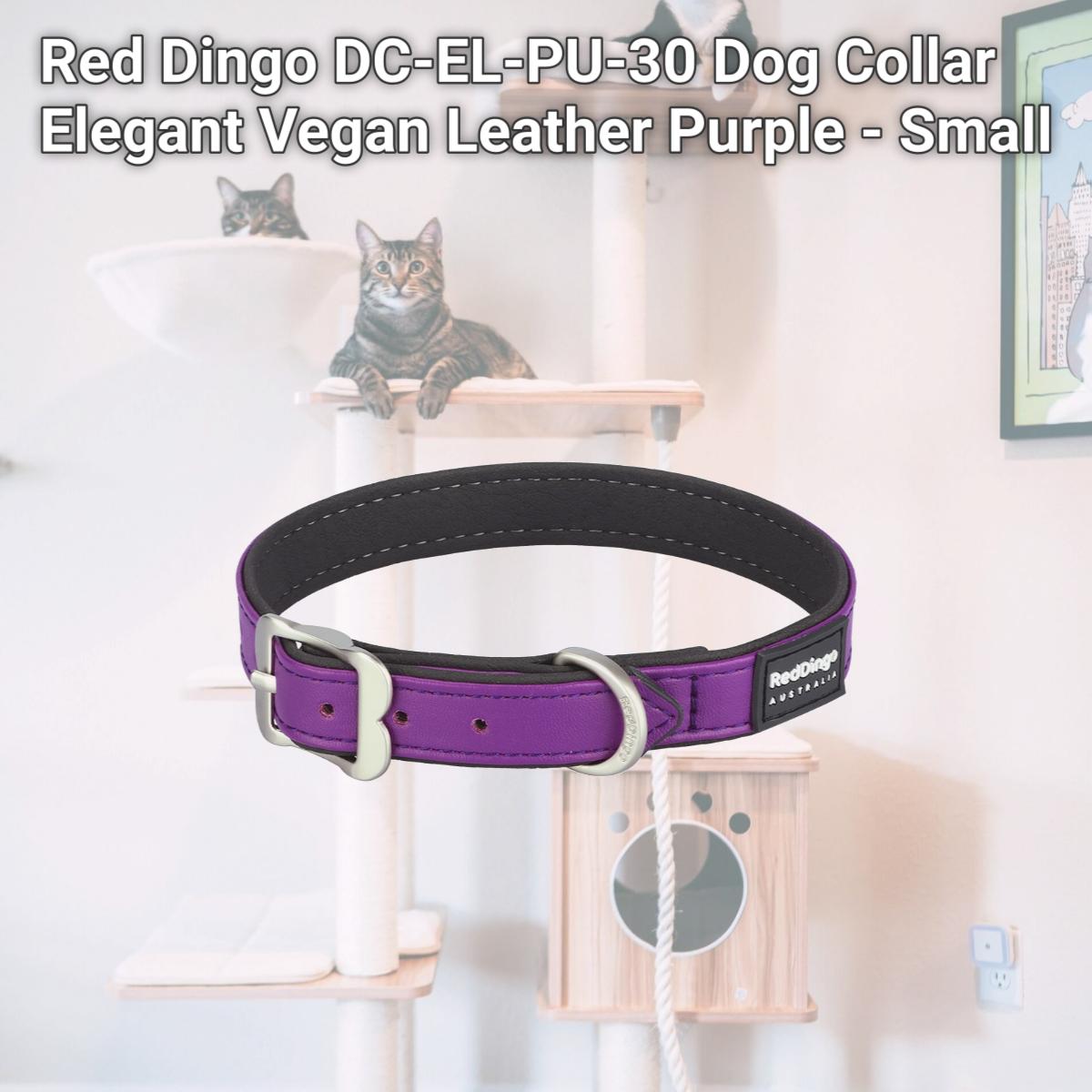 Picture of Red Dingo DC-EL-PU-30 Dog Collar Elegant Vegan Leather Purple - Small