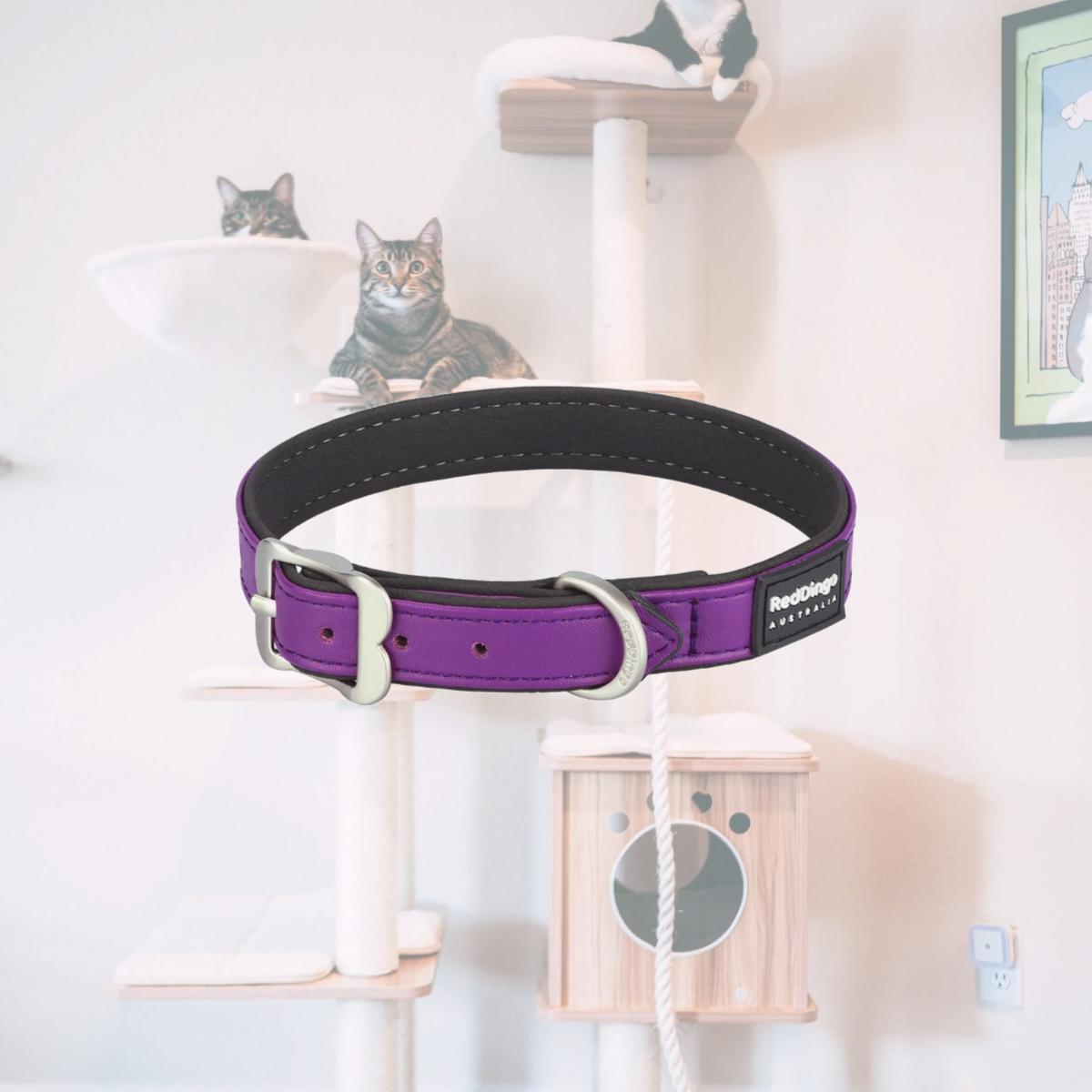Picture of Red Dingo DC-EL-PU-30 Dog Collar Elegant Vegan Leather Purple - Small