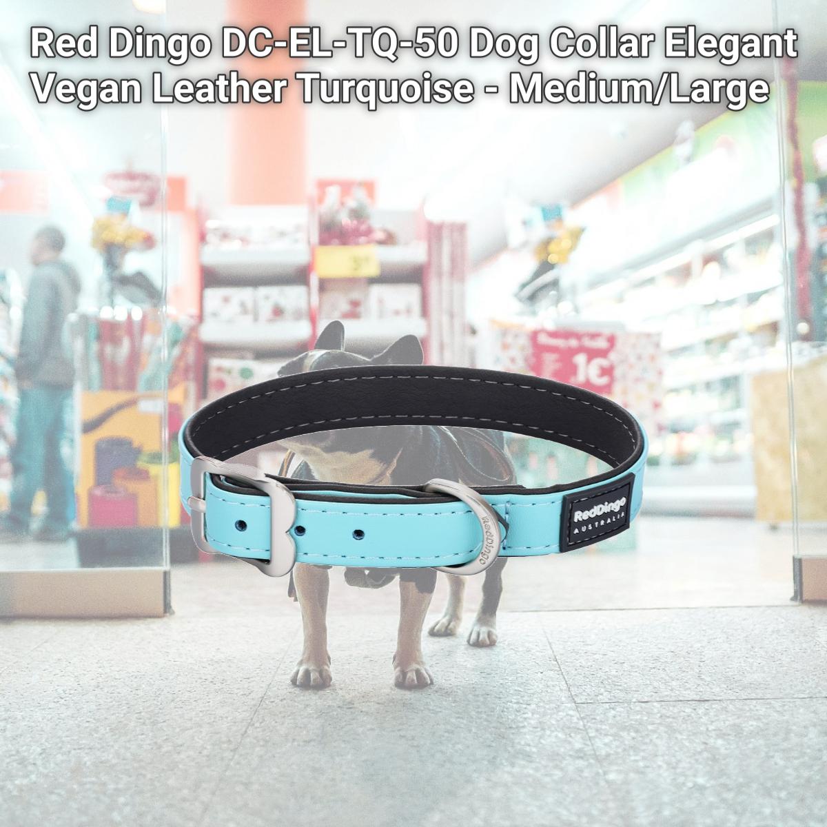 Picture of Red Dingo DC-EL-TQ-50 Dog Collar Elegant Vegan Leather Turquoise - Medium/Large
