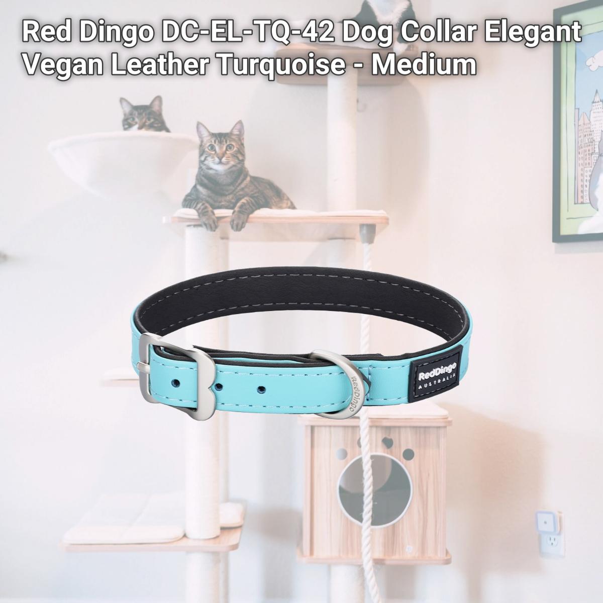 Picture of Red Dingo DC-EL-TQ-42 Dog Collar Elegant Vegan Leather Turquoise - Medium