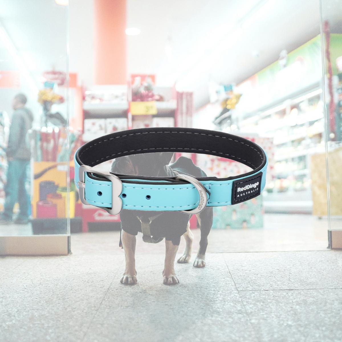 Picture of Red Dingo DC-EL-TQ-42 Dog Collar Elegant Vegan Leather Turquoise - Medium