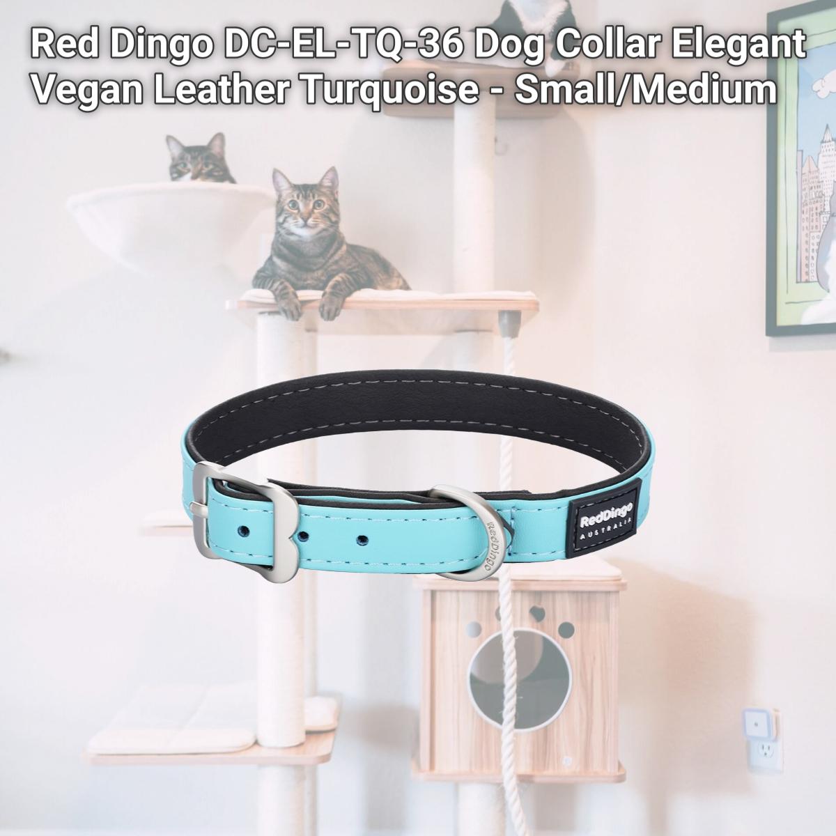 Picture of Red Dingo DC-EL-TQ-36 Dog Collar Elegant Vegan Leather Turquoise - Small/Medium
