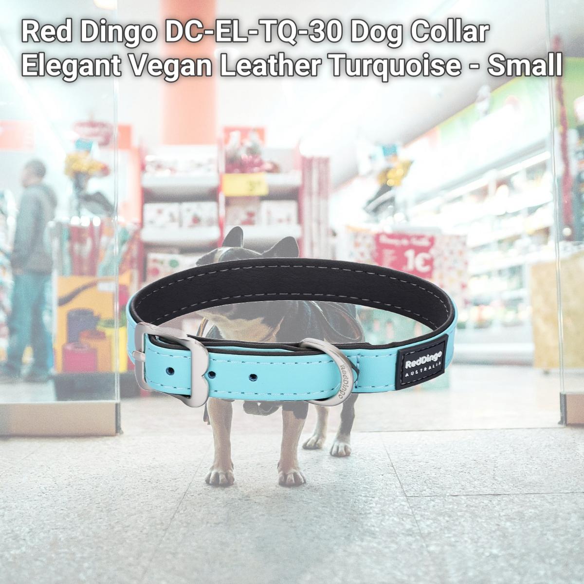 Picture of Red Dingo DC-EL-TQ-30 Dog Collar Elegant Vegan Leather Turquoise - Small