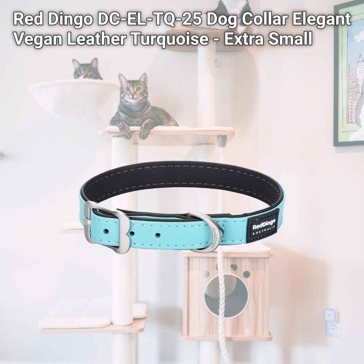 Picture of Red Dingo DC-EL-TQ-25 Dog Collar Elegant Vegan Leather Turquoise - Extra Small
