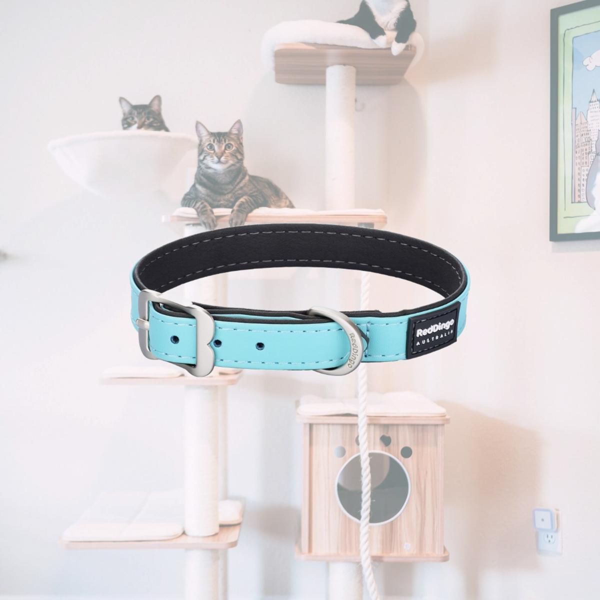 Picture of Red Dingo DC-EL-TQ-25 Dog Collar Elegant Vegan Leather Turquoise - Extra Small