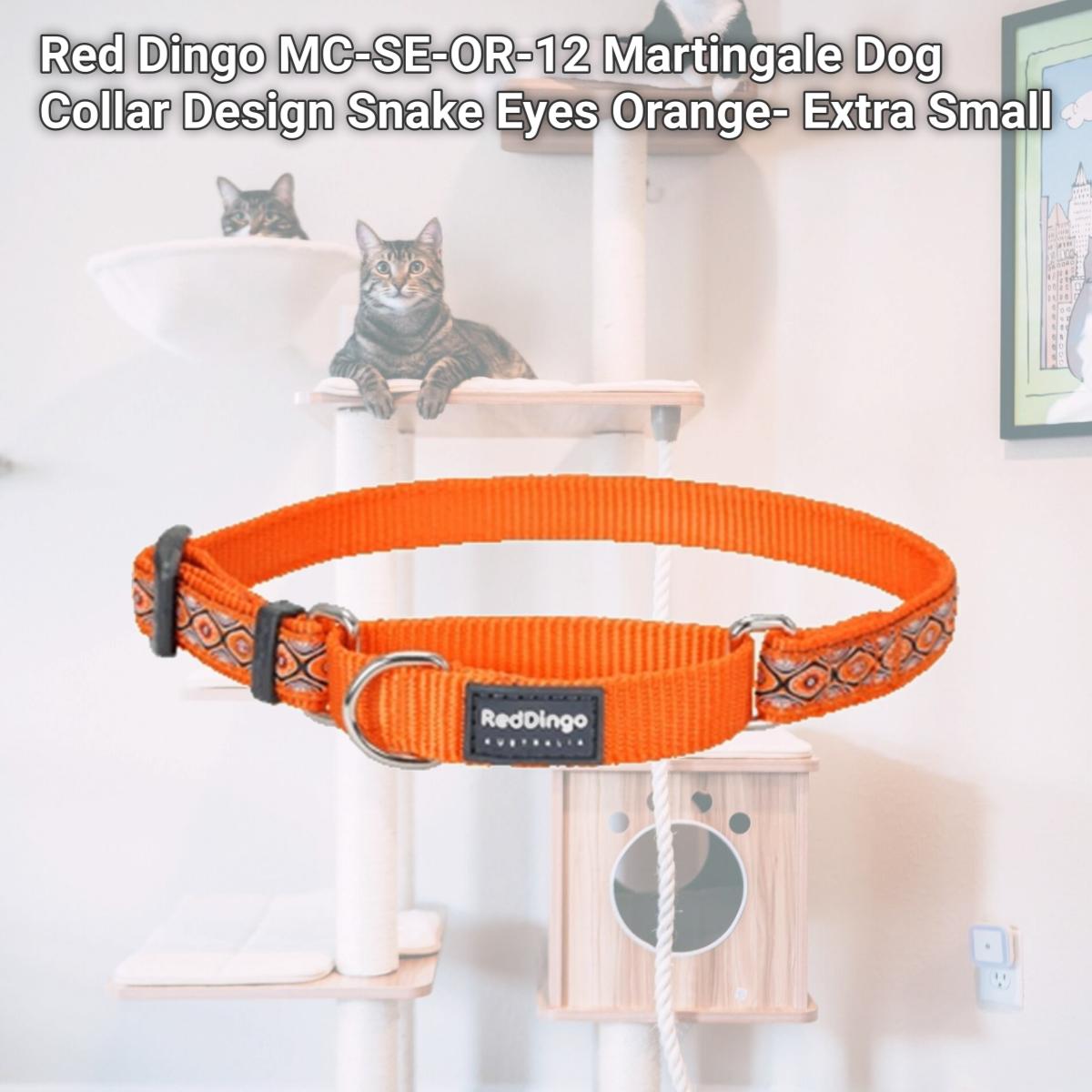 Picture of Red Dingo MC-SE-OR-12 Martingale Dog Collar Design Snake Eyes Orange- Extra Small