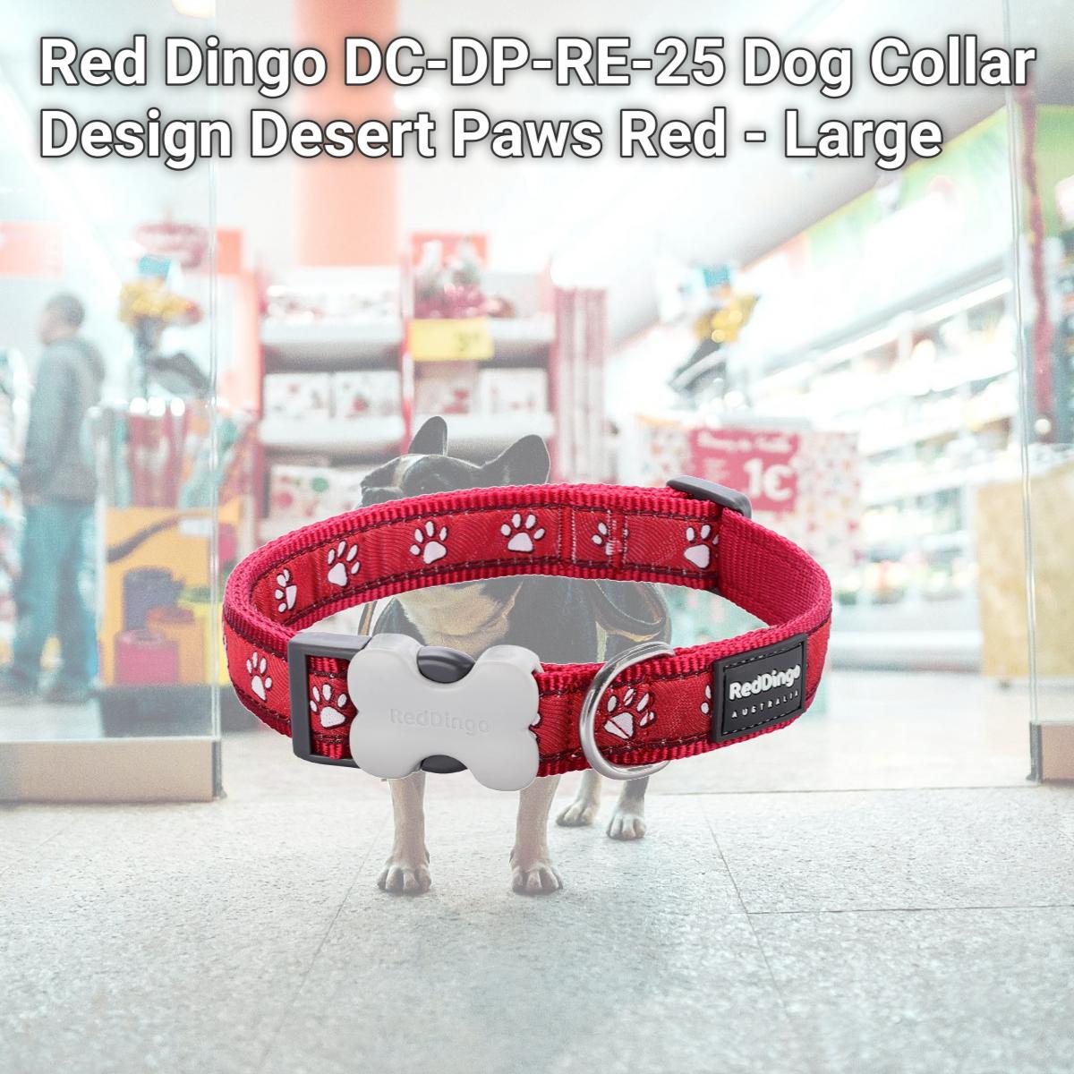 Picture of Red Dingo DC-DP-RE-25 Dog Collar Design Desert Paws Red - Large