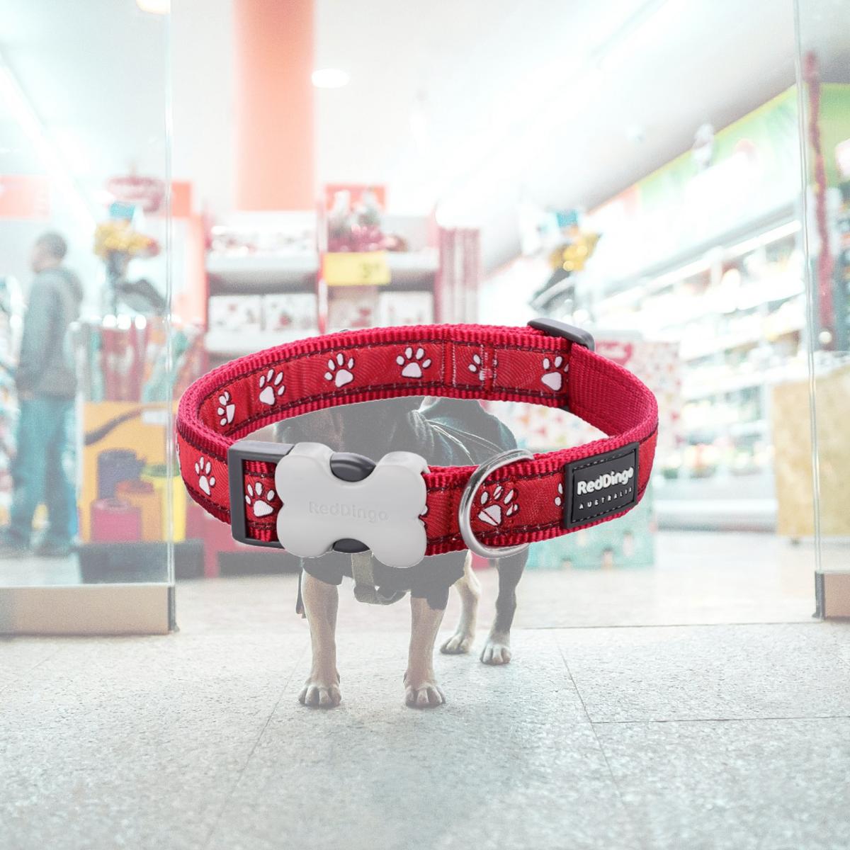 Picture of Red Dingo DC-DP-RE-25 Dog Collar Design Desert Paws Red - Large