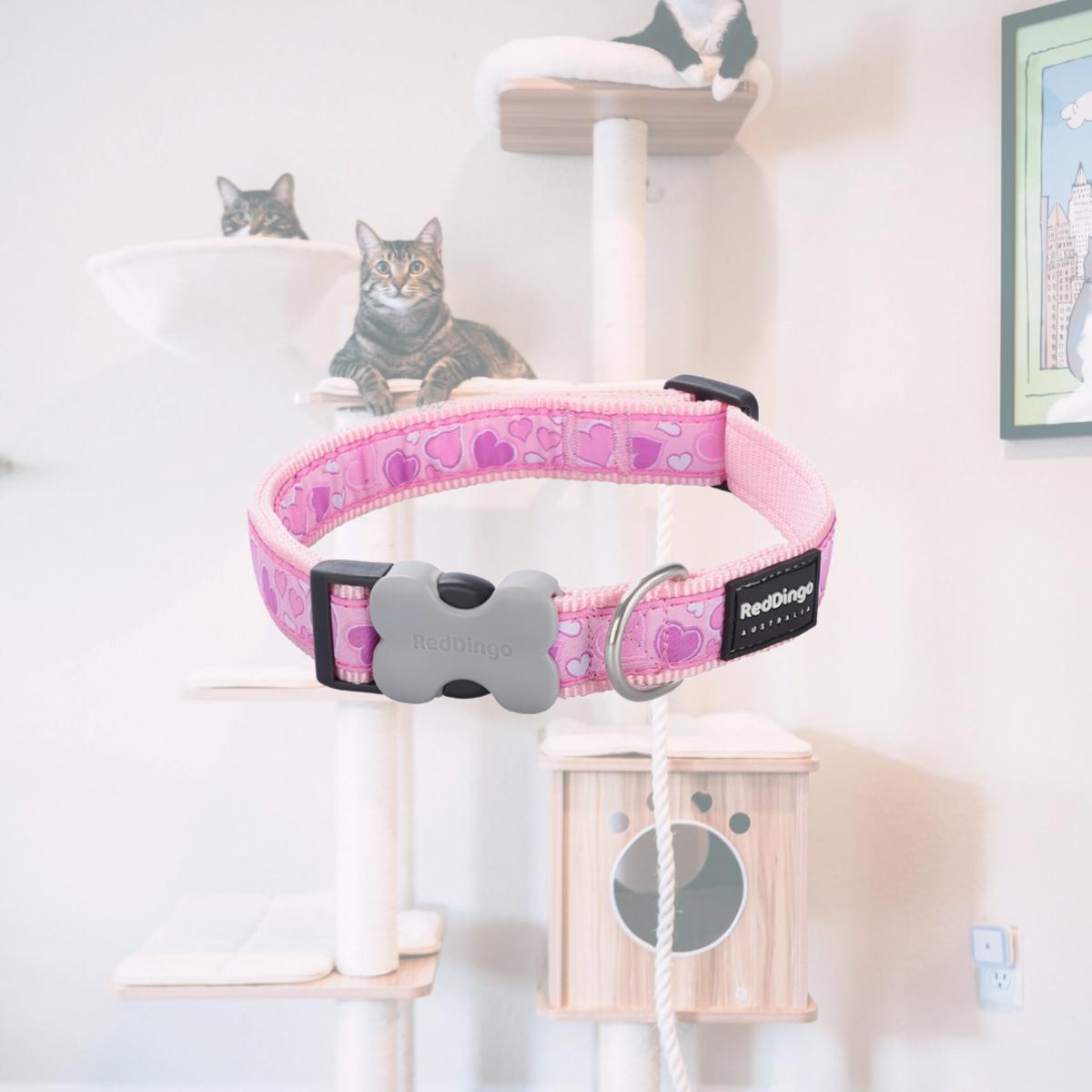 Picture of Red Dingo DC-BZ-PK-15 Dog Collar Design Breezy Love Pink - Small