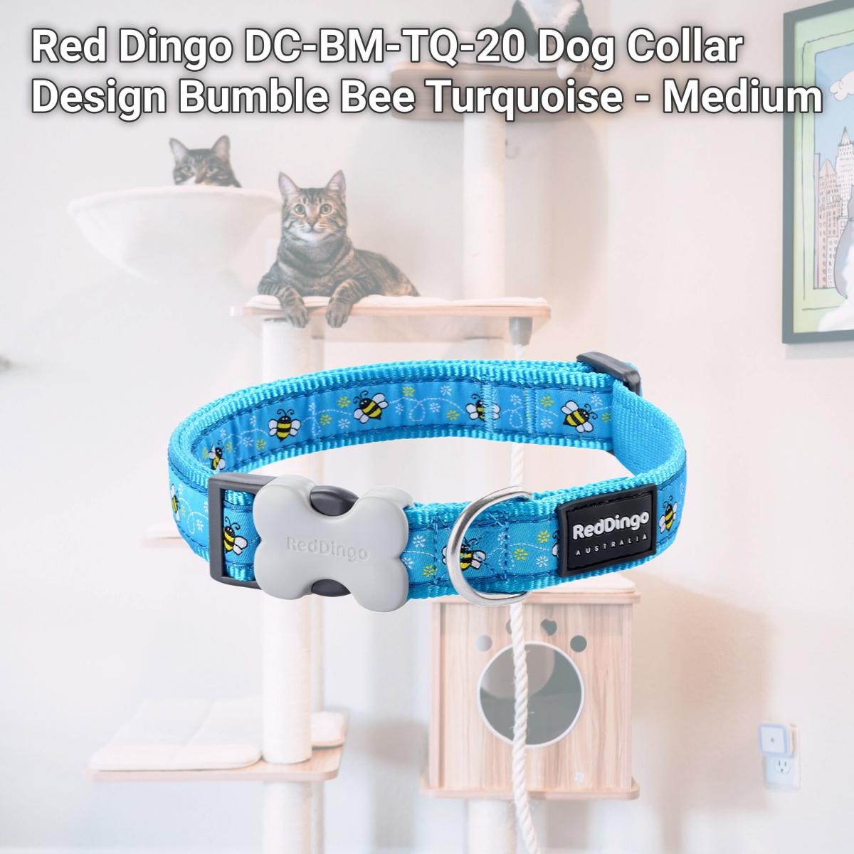 Picture of Red Dingo DC-BM-TQ-20 Dog Collar Design Bumble Bee Turquoise - Medium