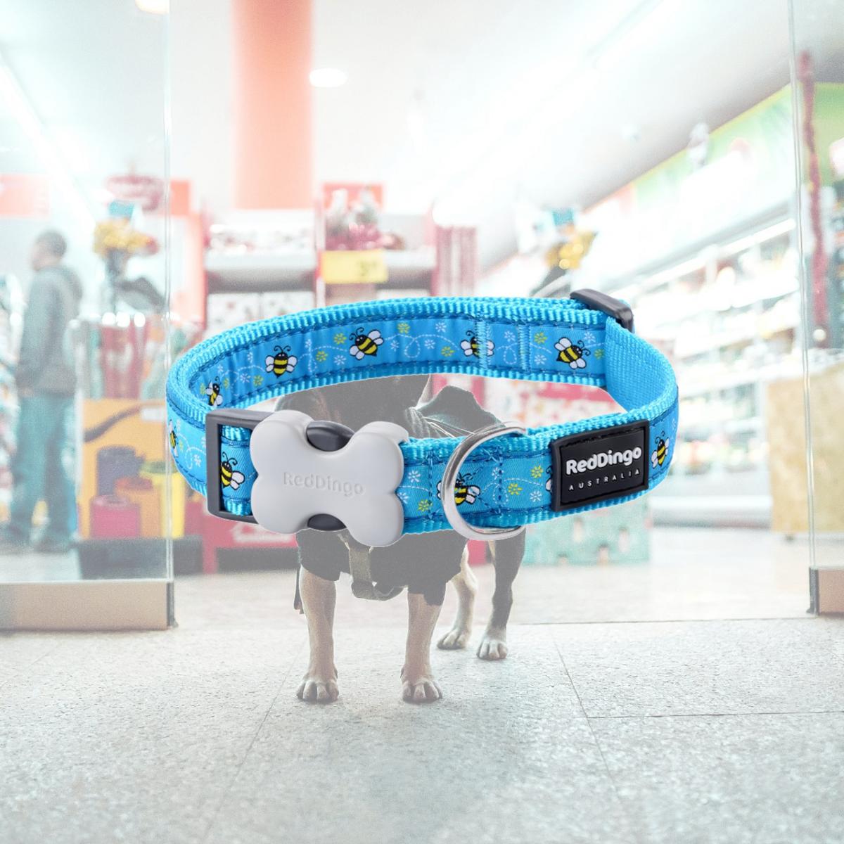 Picture of Red Dingo DC-BM-TQ-20 Dog Collar Design Bumble Bee Turquoise - Medium
