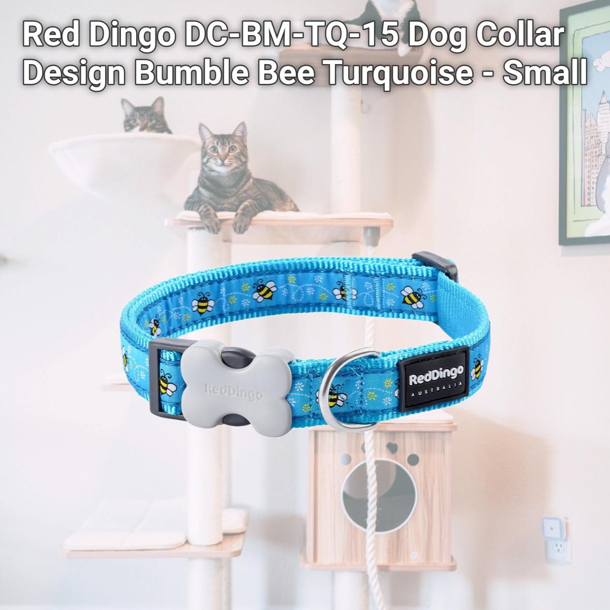 Picture of Red Dingo DC-BM-TQ-15 Dog Collar Design Bumble Bee Turquoise - Small