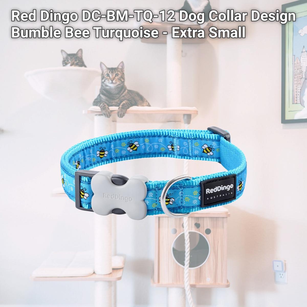 Picture of Red Dingo DC-BM-TQ-12 Dog Collar Design Bumble Bee Turquoise - Extra Small