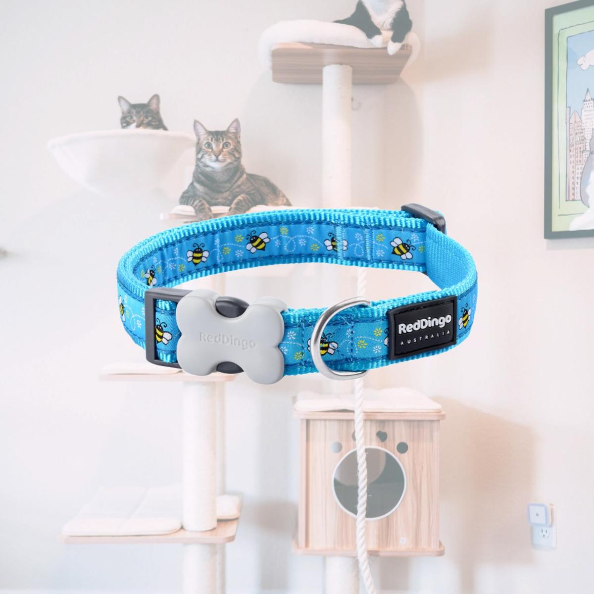 Picture of Red Dingo DC-BM-TQ-12 Dog Collar Design Bumble Bee Turquoise - Extra Small
