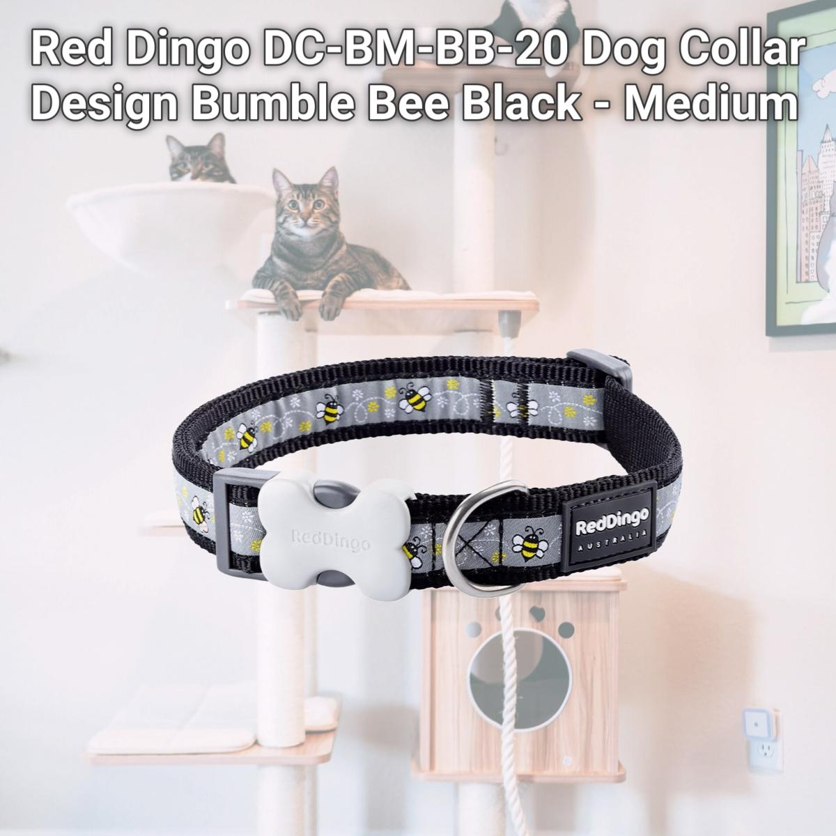 Picture of Red Dingo DC-BM-BB-20 Dog Collar Design Bumble Bee Black - Medium