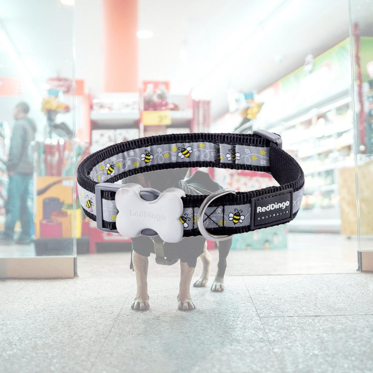 Picture of Red Dingo DC-BM-BB-20 Dog Collar Design Bumble Bee Black - Medium