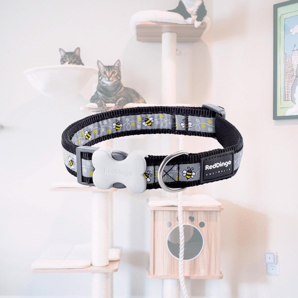 Picture of Red Dingo DC-BM-BB-15 Dog Collar Design Bumble Bee Black - Small