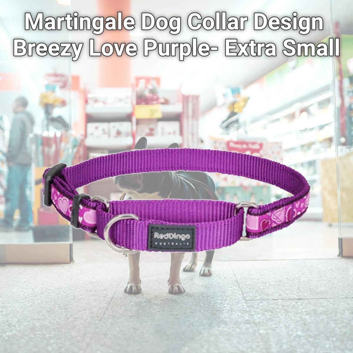 Picture of Red Dingo MC-BZ-PU-12 Martingale Dog Collar Design Breezy Love Purple- Extra Small
