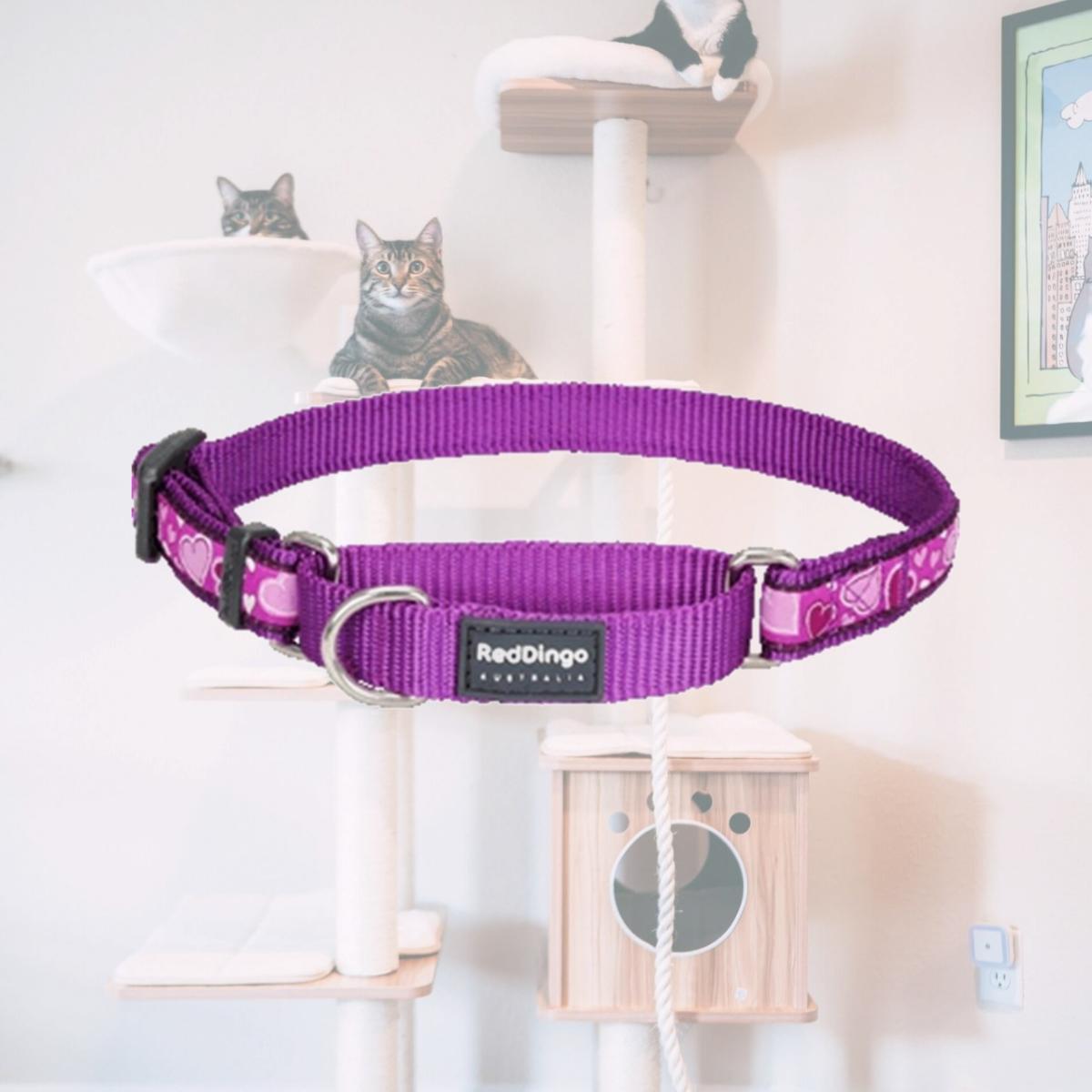 Picture of Red Dingo MC-BZ-PU-12 Martingale Dog Collar Design Breezy Love Purple- Extra Small