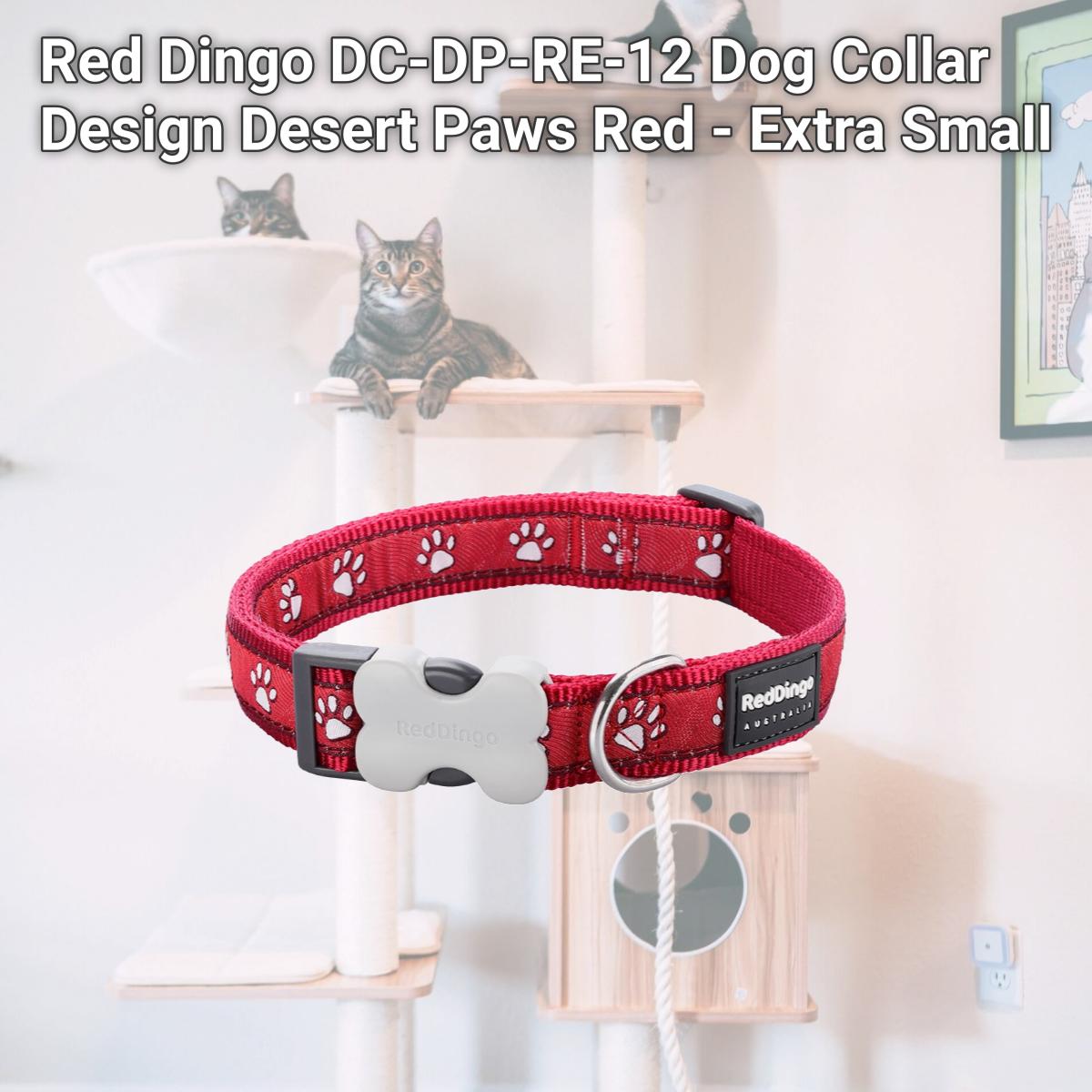 Picture of Red Dingo DC-DP-RE-12 Dog Collar Design Desert Paws Red - Extra Small