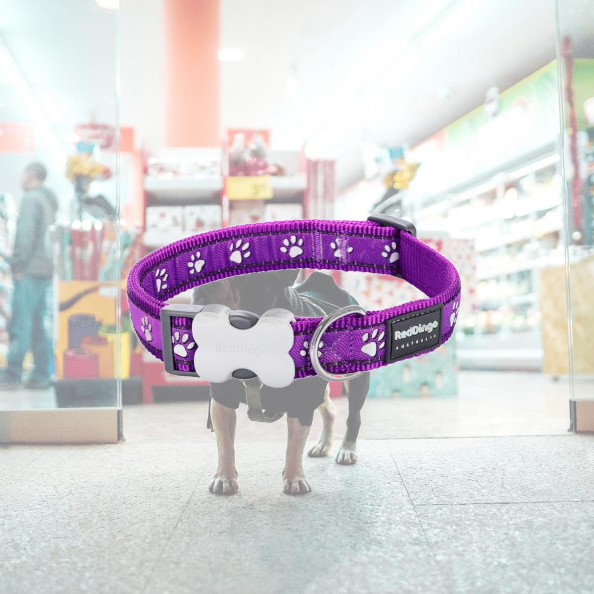 Picture of Red Dingo DC-DP-PU-25 Dog Collar Design Desert Paws Purple - Large
