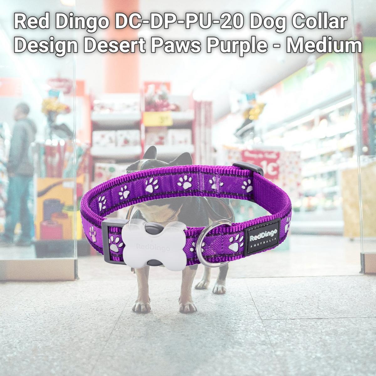 Picture of Red Dingo DC-DP-PU-20 Dog Collar Design Desert Paws Purple - Medium