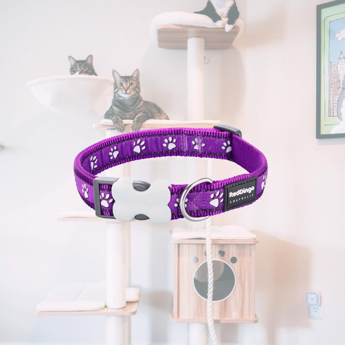Picture of Red Dingo DC-DP-PU-20 Dog Collar Design Desert Paws Purple - Medium