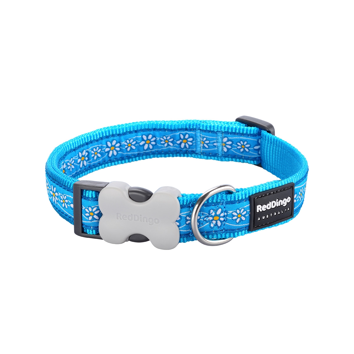 Picture of Red Dingo DC-DC-TQ-25 Dog Collar Design Daisy Chain Turquoise - Large