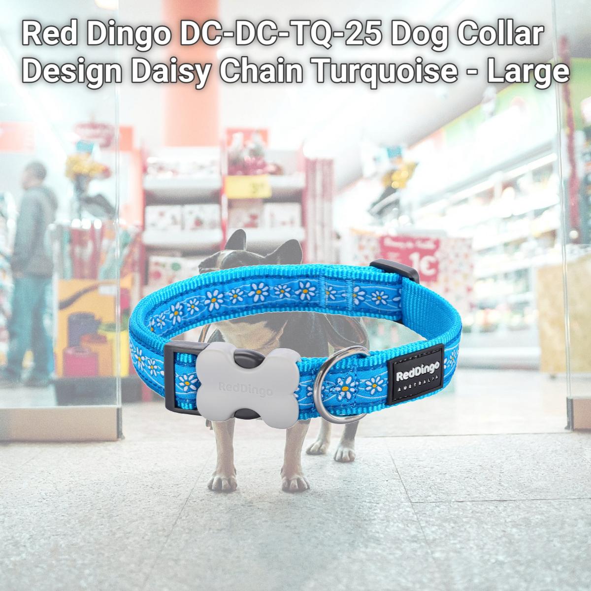 Picture of Red Dingo DC-DC-TQ-25 Dog Collar Design Daisy Chain Turquoise - Large