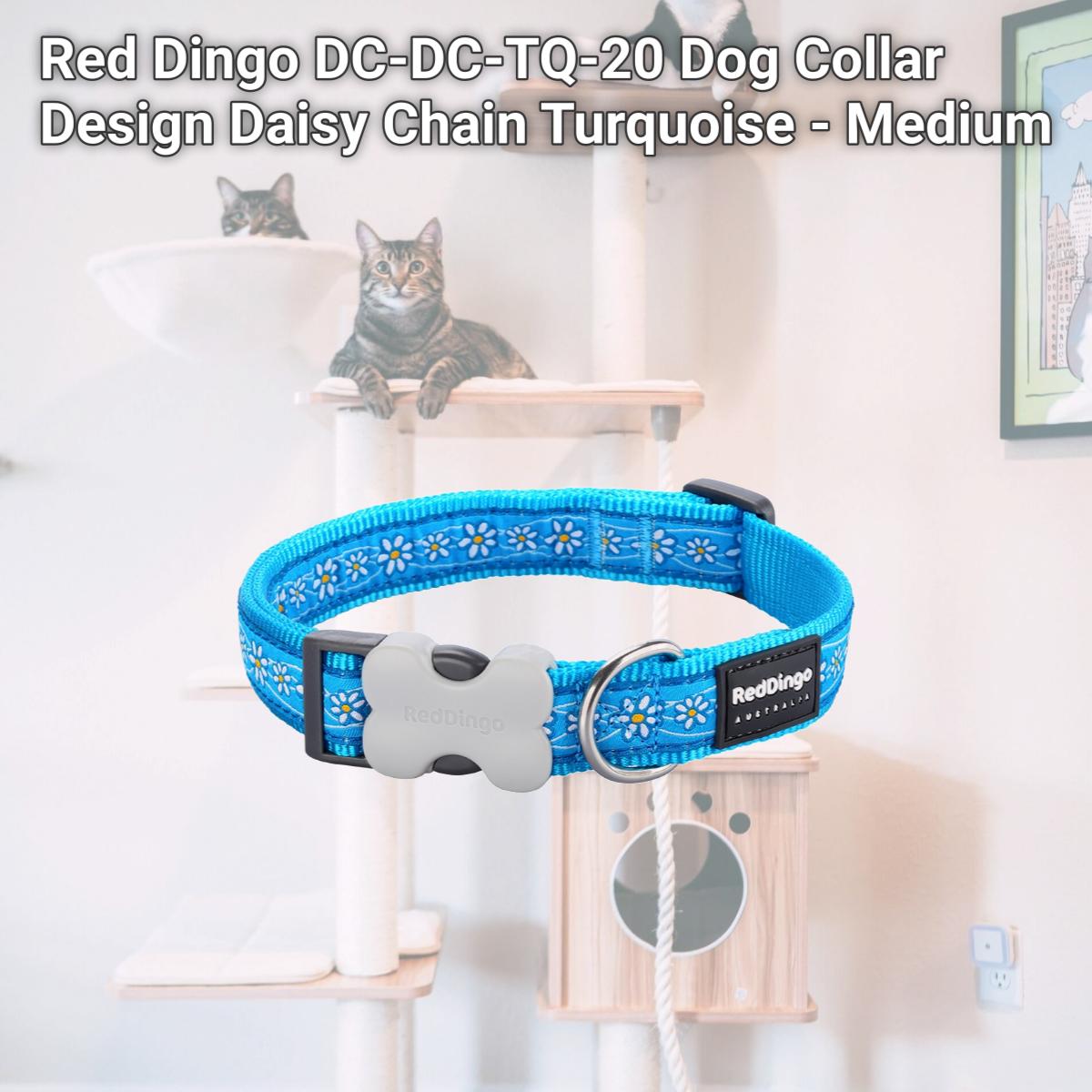 Picture of Red Dingo DC-DC-TQ-20 Dog Collar Design Daisy Chain Turquoise - Medium