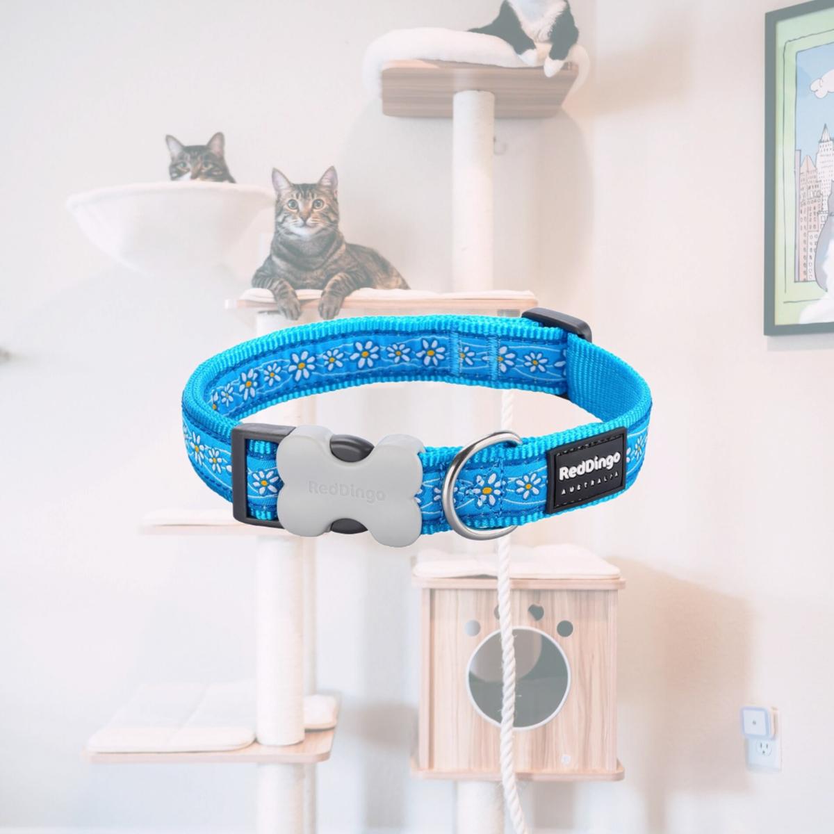Picture of Red Dingo DC-DC-TQ-20 Dog Collar Design Daisy Chain Turquoise - Medium