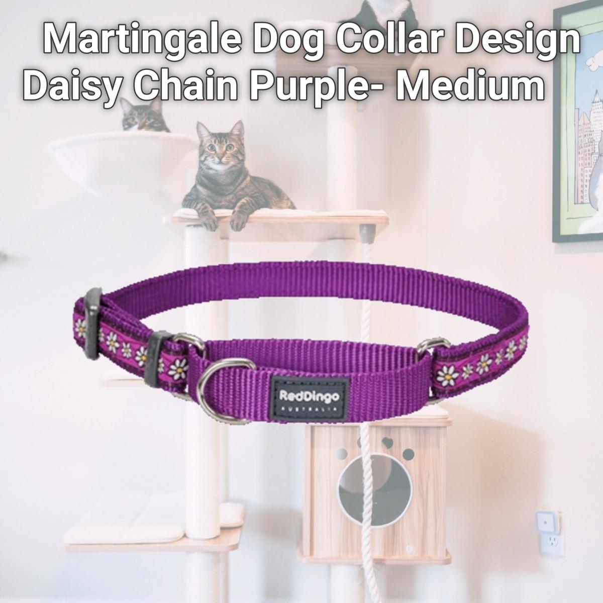 Picture of Red Dingo MC-DC-PU-20 Martingale Dog Collar Design Daisy Chain Purple- Medium