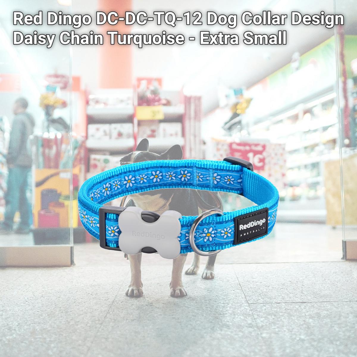 Picture of Red Dingo DC-DC-TQ-12 Dog Collar Design Daisy Chain Turquoise - Extra Small
