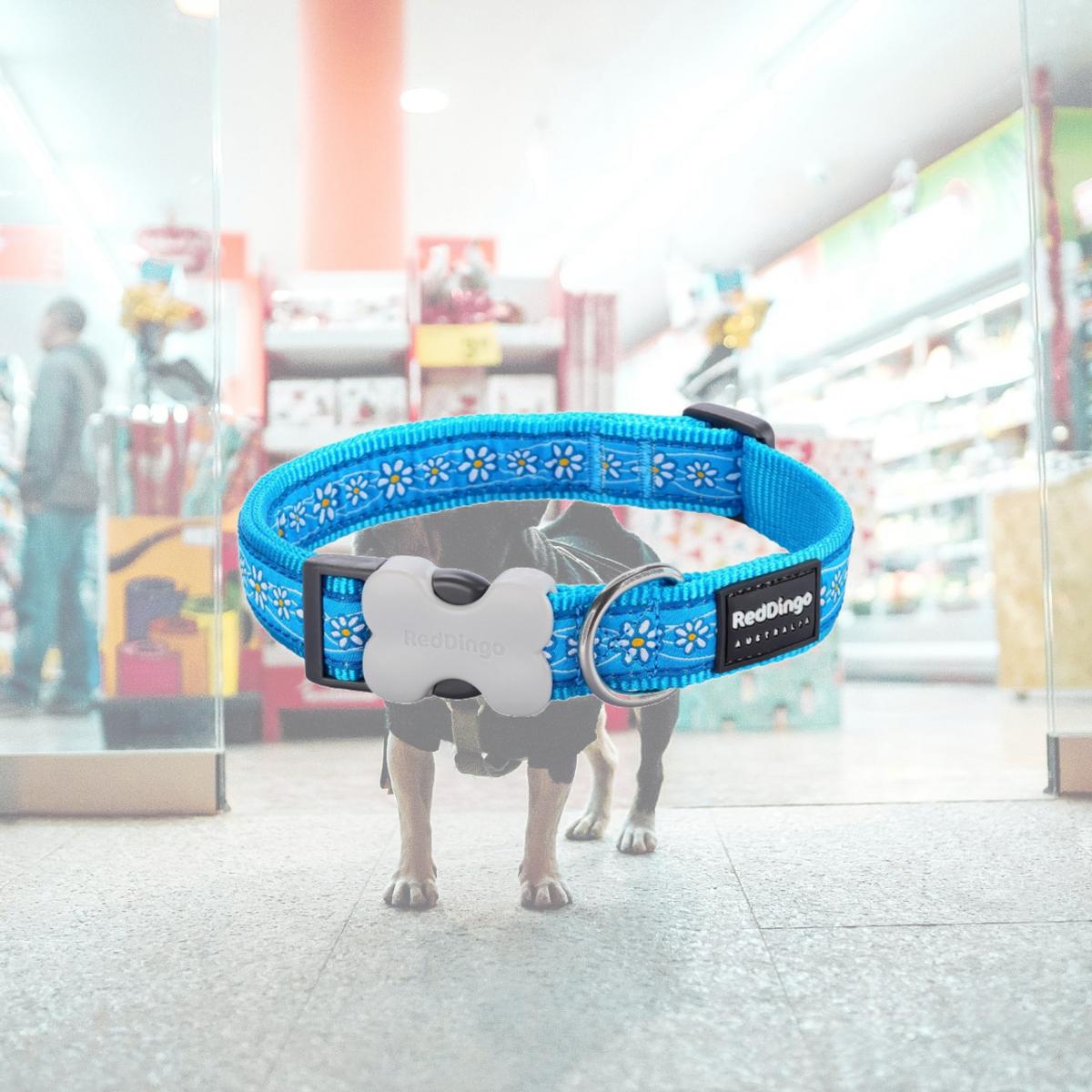 Picture of Red Dingo DC-DC-TQ-12 Dog Collar Design Daisy Chain Turquoise - Extra Small