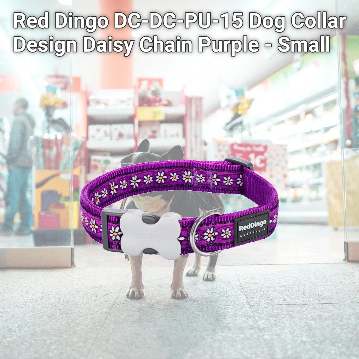 Picture of Red Dingo DC-DC-PU-15 Dog Collar Design Daisy Chain Purple - Small