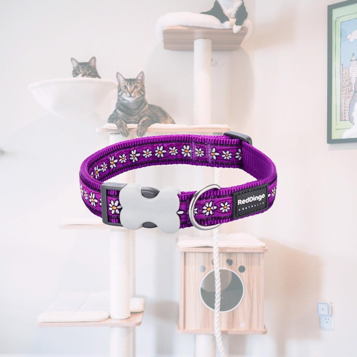 Picture of Red Dingo DC-DC-PU-15 Dog Collar Design Daisy Chain Purple - Small