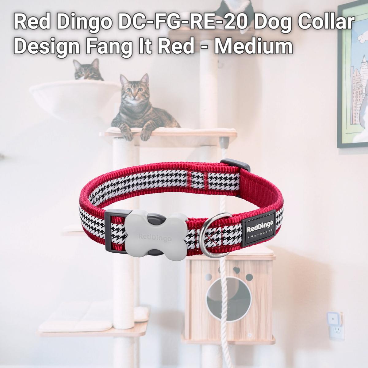 Picture of Red Dingo DC-FG-RE-20 Dog Collar Design Fang It Red - Medium