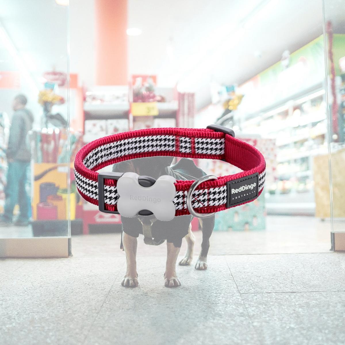 Picture of Red Dingo DC-FG-RE-25 Dog Collar Design Fang It Red - Large