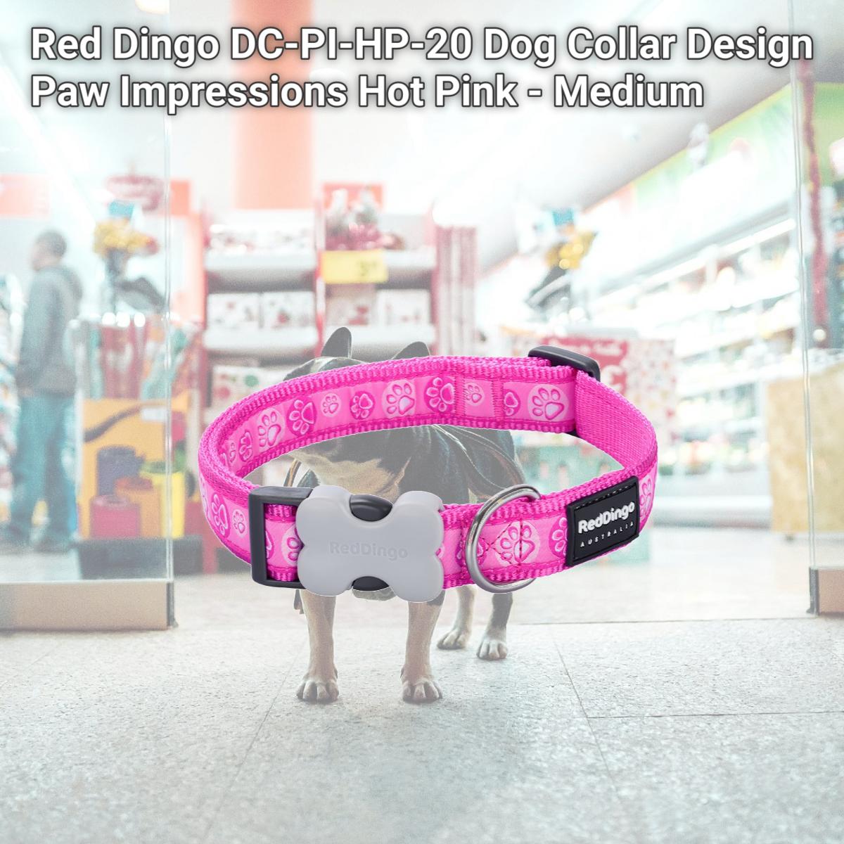 Picture of Red Dingo DC-PI-HP-20 Dog Collar Design Paw Impressions Hot Pink - Medium