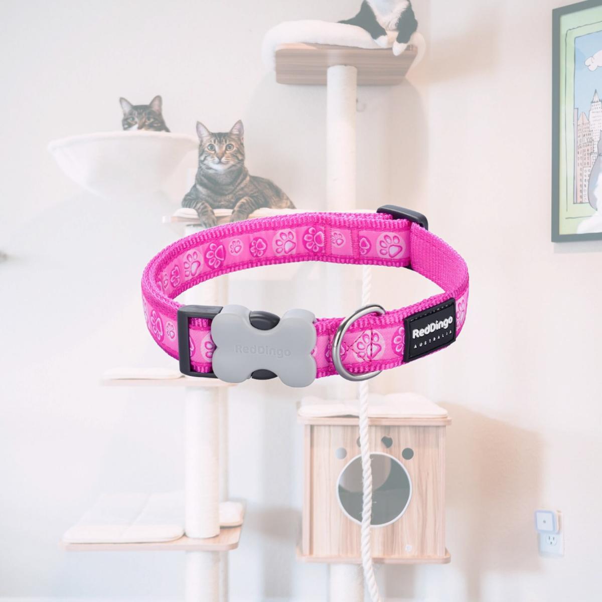 Picture of Red Dingo DC-PI-HP-20 Dog Collar Design Paw Impressions Hot Pink - Medium