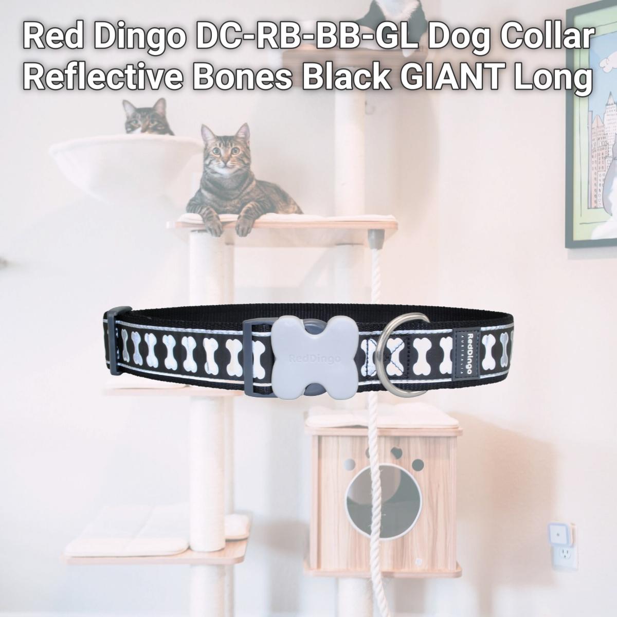 Picture of Red Dingo DC-RB-BB-GL Dog Collar Reflective Bones Black GIANT Long