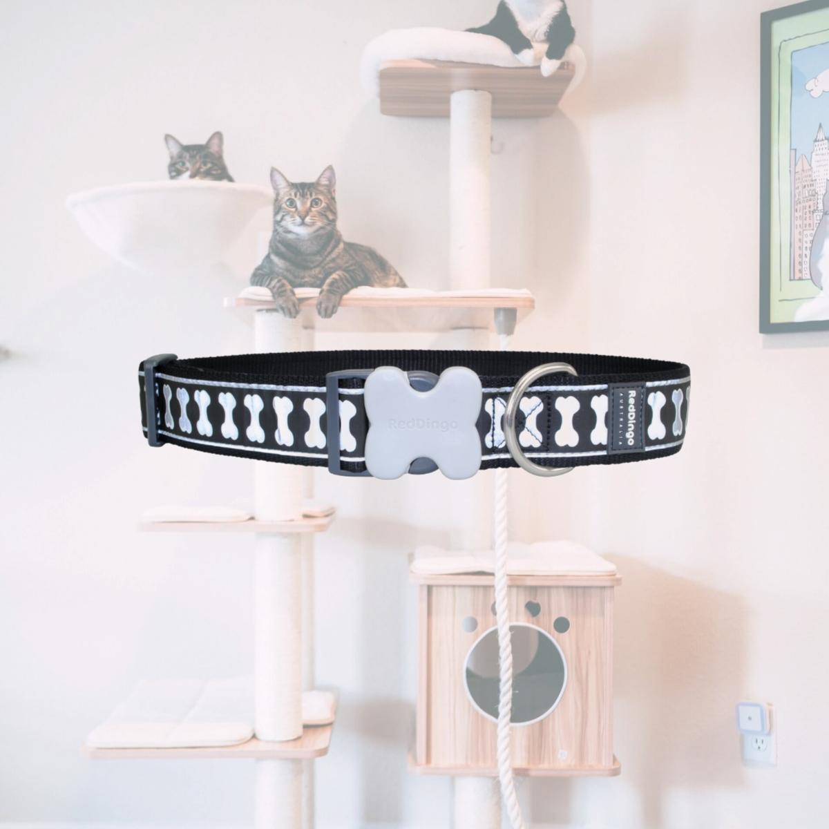 Picture of Red Dingo DC-RB-BB-GL Dog Collar Reflective Bones Black GIANT Long