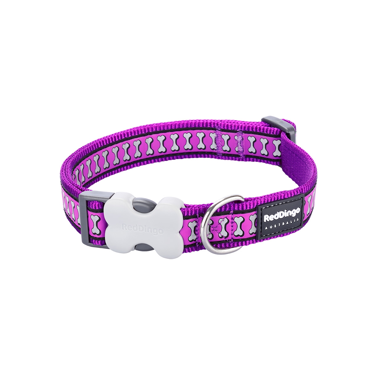Picture of Red Dingo DC-RB-PU-15 Dog Collar Reflective Bones Purple - Small