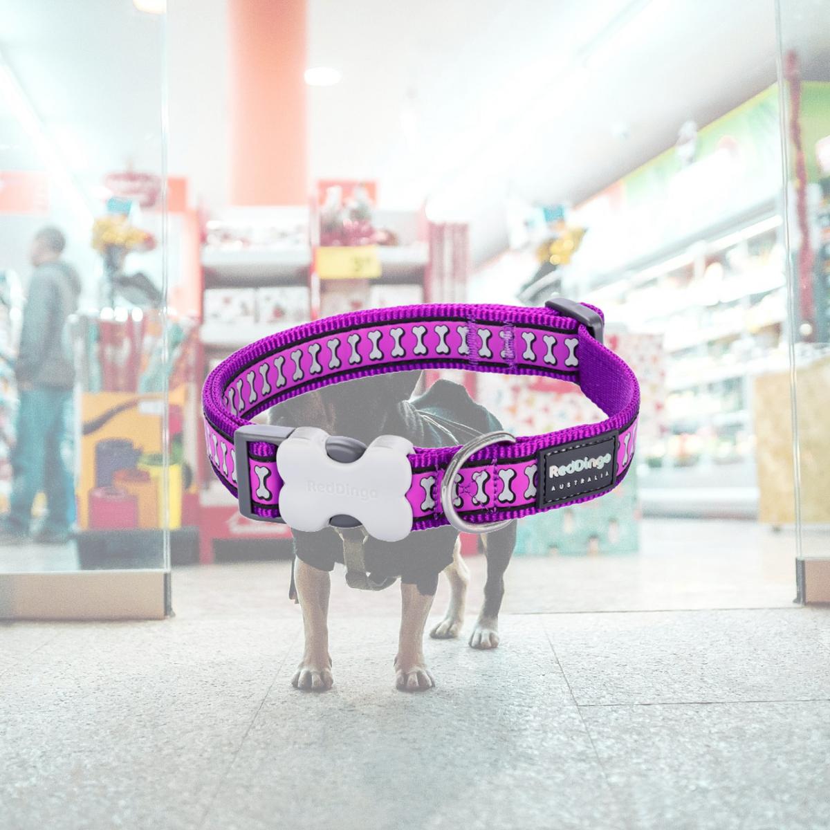 Picture of Red Dingo DC-RB-PU-15 Dog Collar Reflective Bones Purple - Small