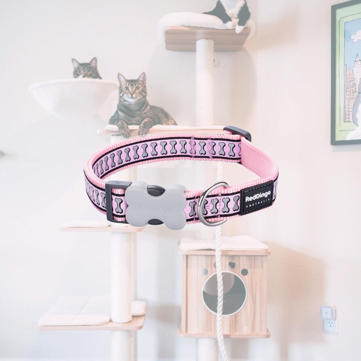 Picture of Red Dingo DC-RB-PK-15 Dog Collar Reflective Bones Pink - Small