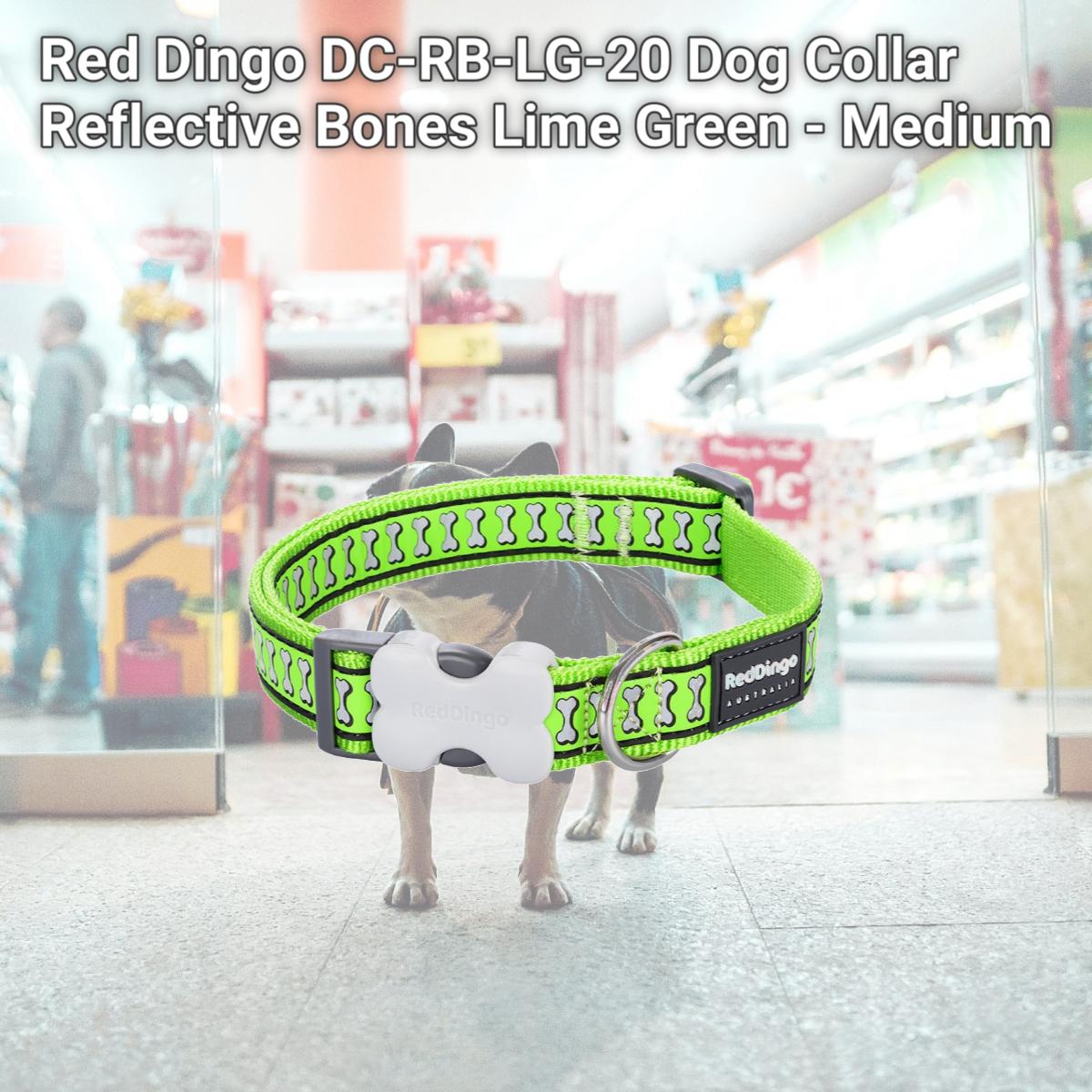Picture of Red Dingo DC-RB-LG-20 Dog Collar Reflective Bones Lime Green - Medium