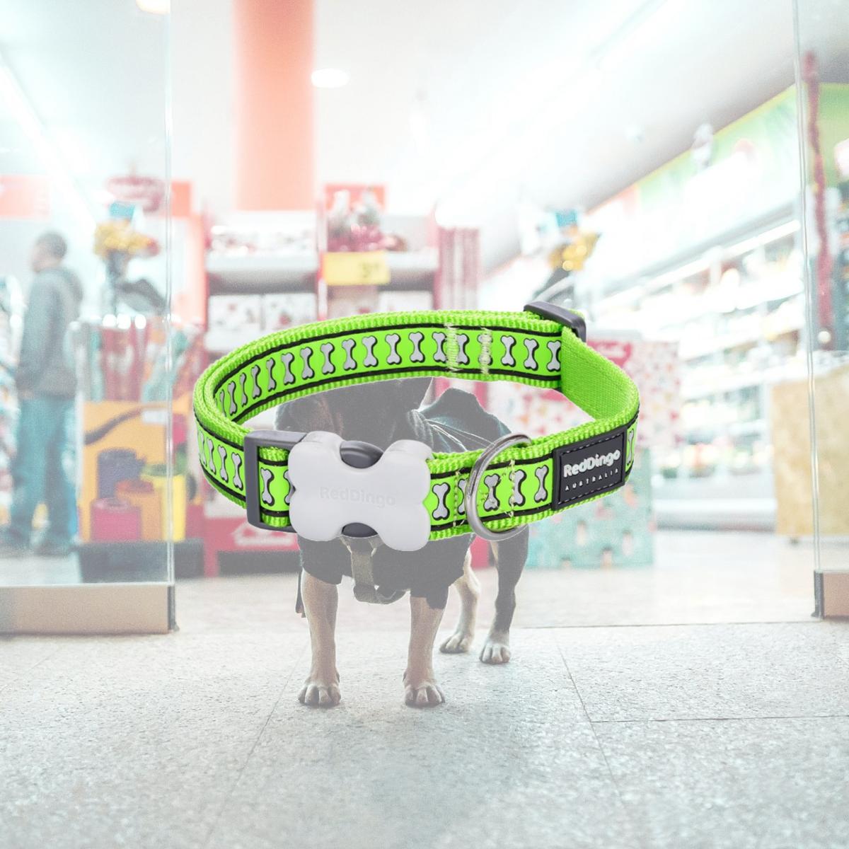 Picture of Red Dingo DC-RB-LG-20 Dog Collar Reflective Bones Lime Green - Medium