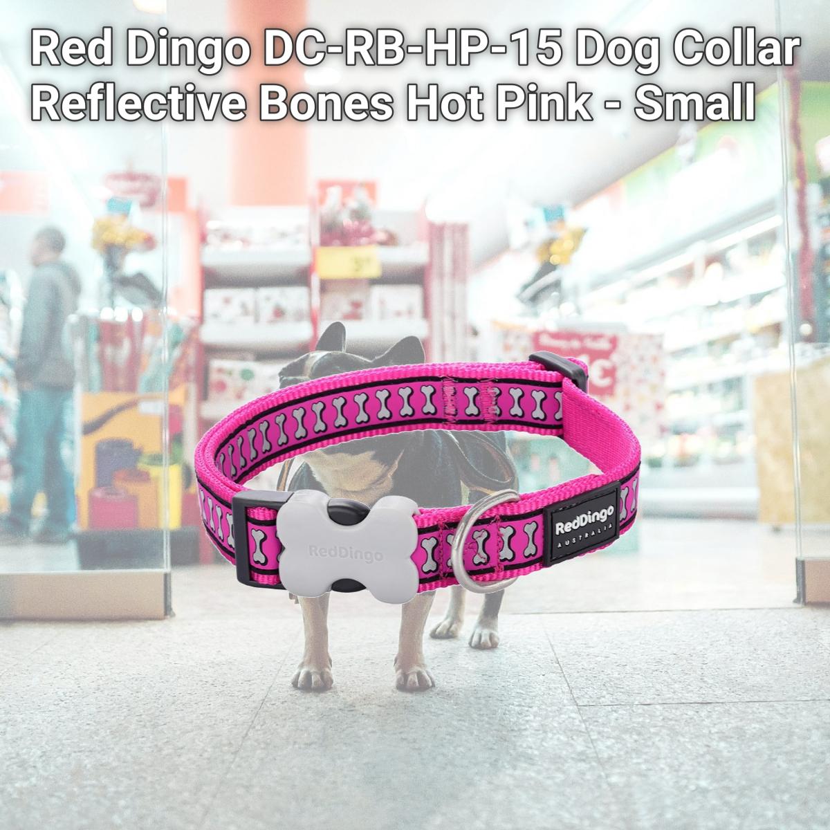 Picture of Red Dingo DC-RB-HP-15 Dog Collar Reflective Bones Hot Pink - Small