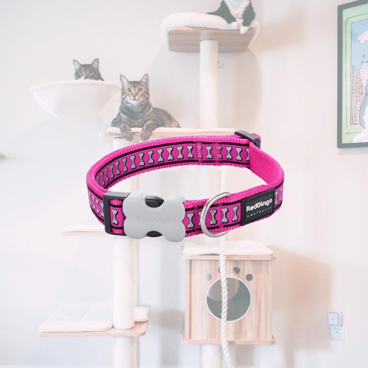 Picture of Red Dingo DC-RB-HP-15 Dog Collar Reflective Bones Hot Pink - Small
