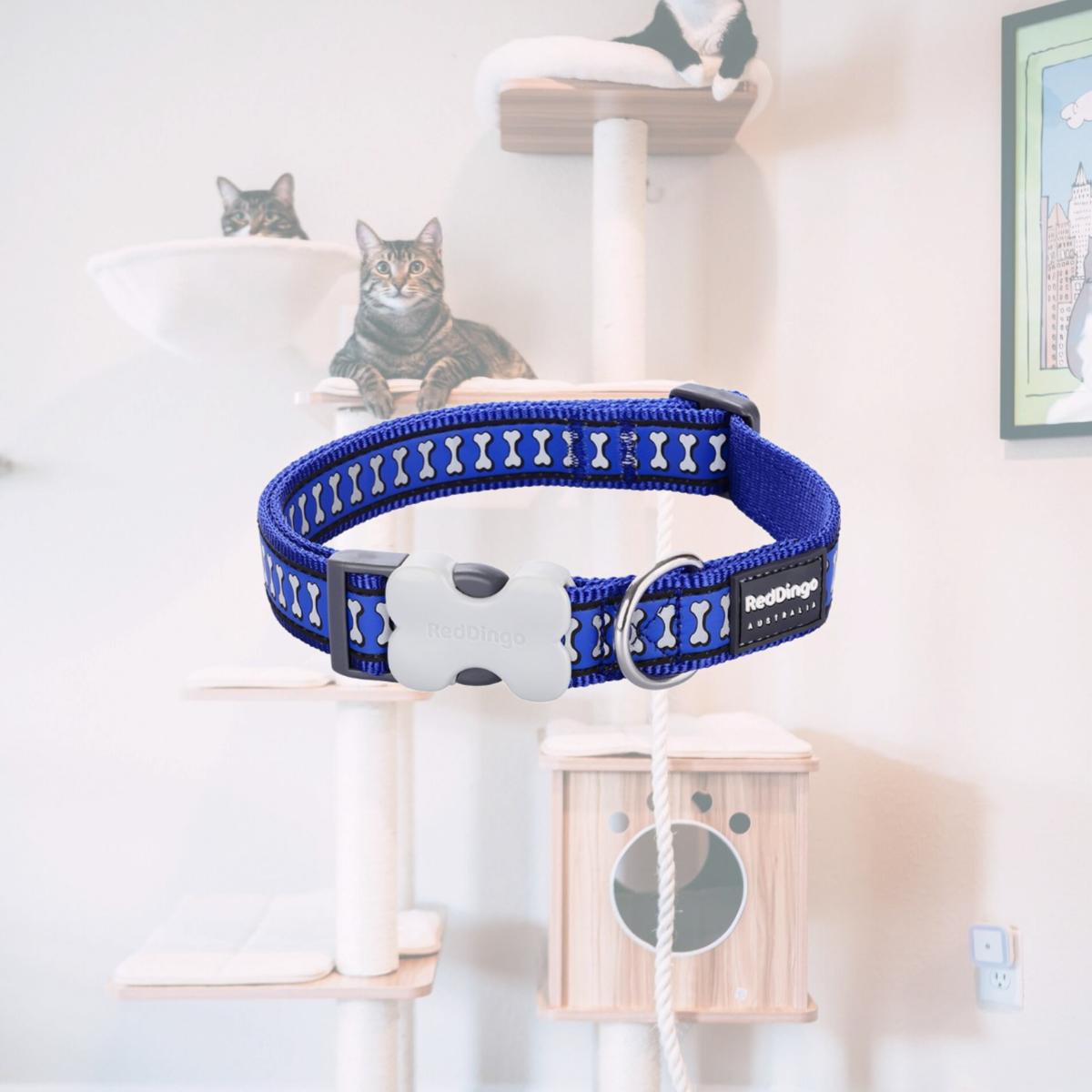 Picture of Red Dingo DC-RB-DB-15 Dog Collar Reflective Bones Dark Blue - Small